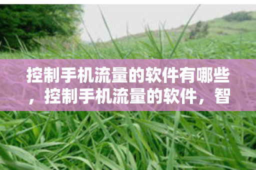 控制手机流量的软件有哪些，控制手机流量的软件，智能管理，高效节流