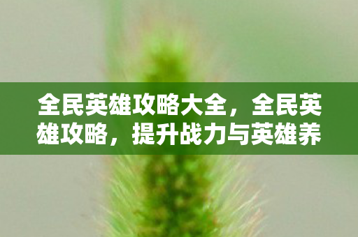 全民英雄攻略大全，全民英雄攻略，提升战力与英雄养成指南