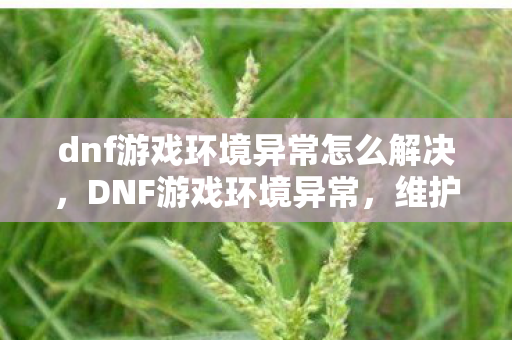 dnf游戏环境异常怎么解决，DNF游戏环境异常，维护正版，共筑健康游戏生态