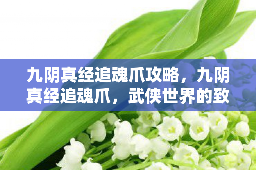 九阴真经追魂爪攻略，九阴真经追魂爪，武侠世界的致命诱惑