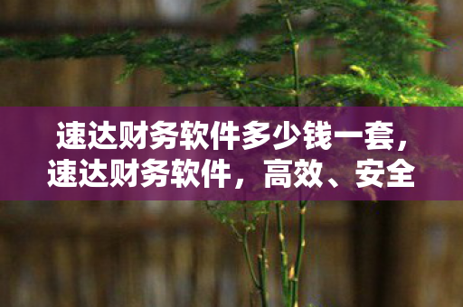 速达财务软件多少钱一套，速达财务软件，高效、安全、易用的财务管理工具