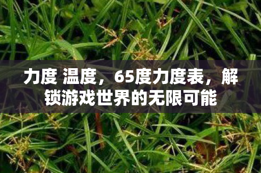 力度 温度，65度力度表，解锁游戏世界的无限可能