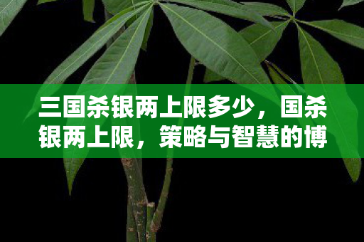 三国杀银两上限多少，国杀银两上限，策略与智慧的博弈