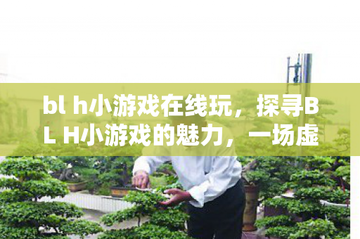 bl h小游戏在线玩，探寻BL H小游戏的魅力，一场虚拟世界的冒险之旅