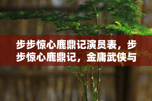 步步惊心鹿鼎记演员表，步步惊心鹿鼎记，金庸武侠与清宫剧的经典融合