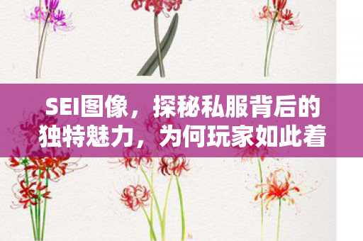 SEI图像，探秘私服背后的独特魅力，为何玩家如此着迷？