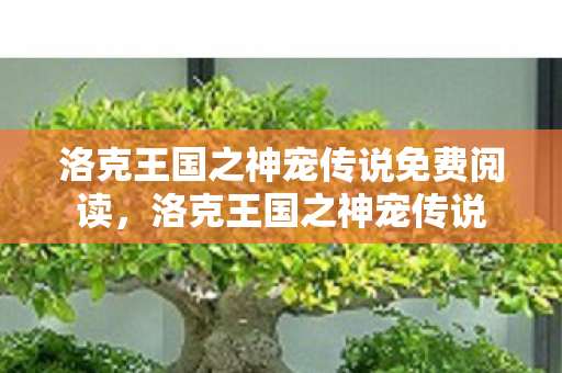 洛克王国之神宠传说免费阅读，洛克王国之神宠传说