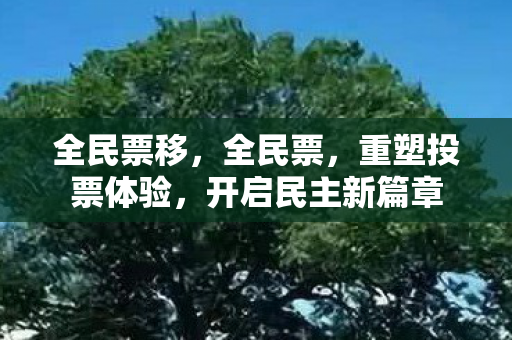 全民票移，全民票，重塑投票体验，开启民主新篇章