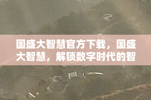 国盛大智慧官方下载,国盛大智慧,解锁数字时代的智慧密码 国盛大智慧官方下载,国盛大智慧,解锁数字时代的智慧密码