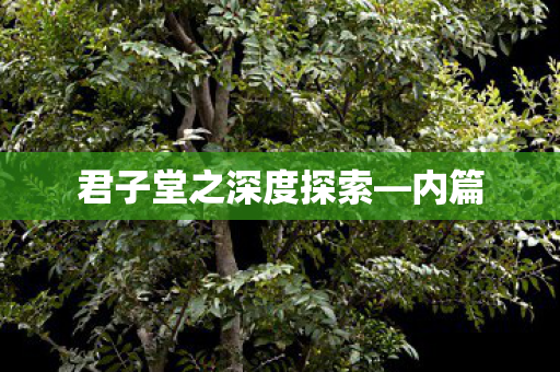 君子堂之深度探索—内篇