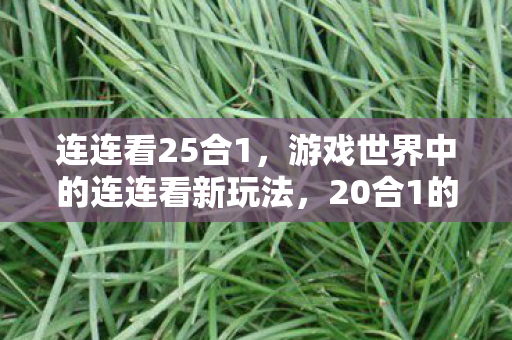 连连看25合1，游戏世界中的连连看新玩法，20合1的奇妙探索