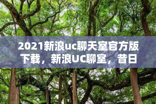2021新浪uc聊天室官方版下载，新浪UC聊室，昔日网络社交的璀璨明珠