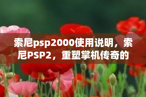 索尼psp2000使用说明,索尼PSP2,重塑掌机传奇的革新之作 索尼psp2000使用说明,索尼PSP2,重塑掌机传奇的革新之作