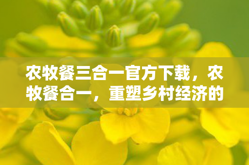 农牧餐三合一官方下载，农牧餐合一，重塑乡村经济的新模式