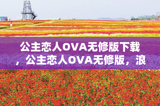 公主恋人OVA无修版下载，公主恋人OVA无修版，浪漫与激情的交织