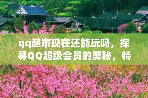 qq超市现在还能玩吗，探寻QQ超级会员的奥秘，特权、功能与用户体验的深度剖析