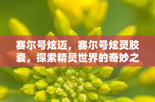 赛尔号炫迈,赛尔号炫灵胶囊,探索精灵世界的奇妙之旅 赛尔号炫迈,赛尔号炫灵胶囊,探索精灵世界的奇妙之旅