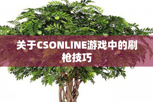 关于CSONLINE游戏中的刷枪技巧