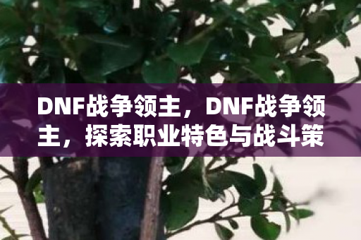 DNF战争领主，DNF战争领主，探索职业特色与战斗策略