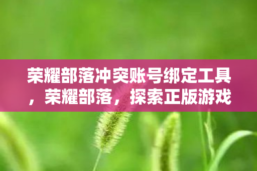 荣耀部落冲突账号绑定工具,荣耀部落,探索正版游戏的魅力与乐趣 荣耀部落冲突账号绑定工具,荣耀部落,探索正版游戏的魅力与乐趣