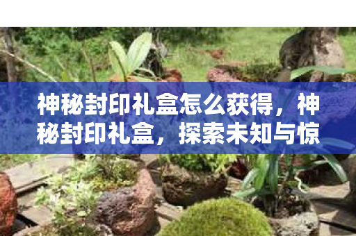 神秘封印礼盒怎么获得，神秘封印礼盒，探索未知与惊喜的奇妙之旅