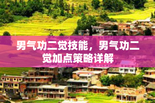 男气功二觉技能，男气功二觉加点策略详解