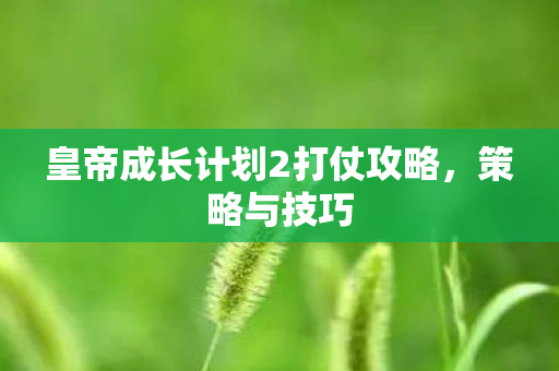 皇帝成长计划2打仗攻略,策略与技巧 皇帝成长计划2打仗攻略,策略与技巧