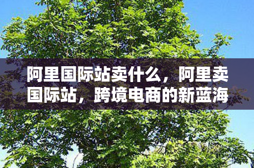 阿里国际站卖什么,阿里卖国际站,跨境电商的新蓝海 阿里国际站卖什么,阿里卖国际站,跨境电商的新蓝海