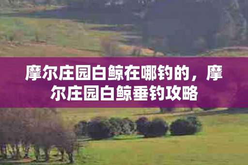 摩尔庄园白鲸在哪钓的，摩尔庄园白鲸垂钓攻略