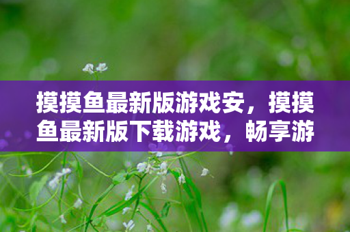 摸摸鱼最新版游戏安，摸摸鱼最新版下载游戏，畅享游戏乐趣，无需繁琐步骤