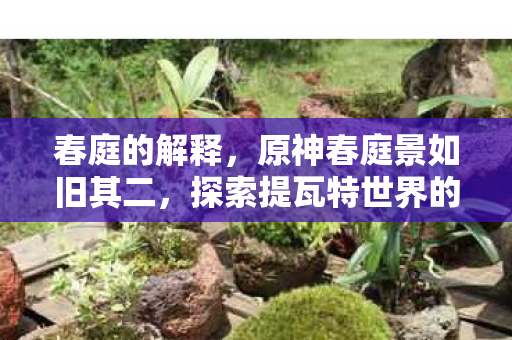 春庭的解释，原神春庭景如旧其二，探索提瓦特世界的深度与广度