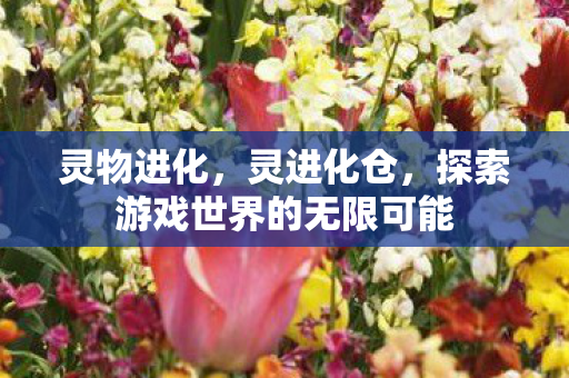 灵物进化，灵进化仓，探索游戏世界的无限可能