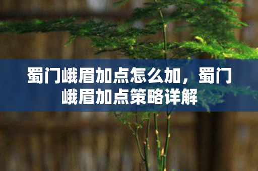 蜀门峨眉加点怎么加，蜀门峨眉加点策略详解