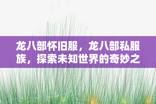 龙八部怀旧服,龙八部私服族,探索未知世界的奇妙之旅 龙八部怀旧服,龙八部私服族,探索未知世界的奇妙之旅
