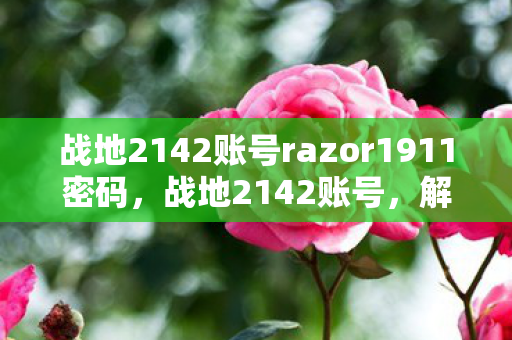 战地2142账号razor1911密码，战地2142账号，解锁你的游戏之旅