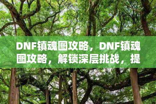 DNF镇魂图攻略，DNF镇魂图攻略，解锁深层挑战，提升角色实力
