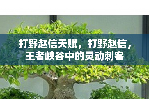 打野赵信天赋,打野赵信,王者峡谷中的灵动刺客 打野赵信天赋,打野赵信,王者峡谷中的灵动刺客