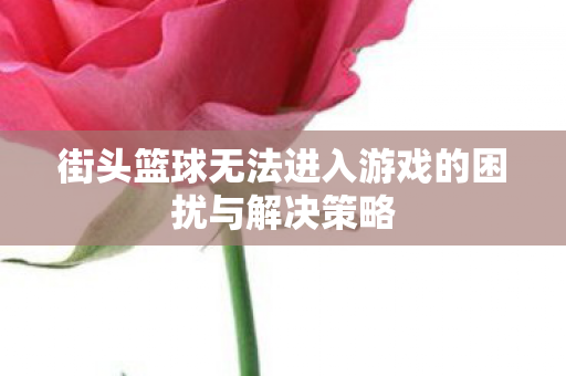 街头篮球无法进入游戏的困扰与解决策略