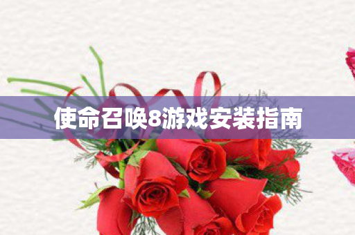 使命召唤8游戏安装指南 使命召唤8游戏安装指南