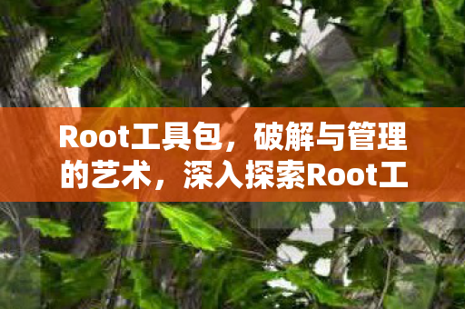 Root工具包,破解与管理的艺术,深入探索Root工具包的无限可能 Root工具包,破解与管理的艺术,深入探索Root工具包的无限可能