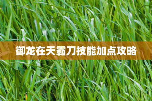 御龙在天霸刀技能加点攻略 御龙在天霸刀技能加点攻略