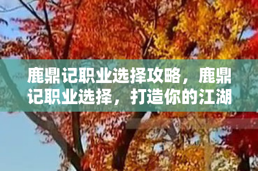 鹿鼎记职业选择攻略,鹿鼎记职业选择,打造你的江湖之路 鹿鼎记职业选择攻略,鹿鼎记职业选择,打造你的江湖之路