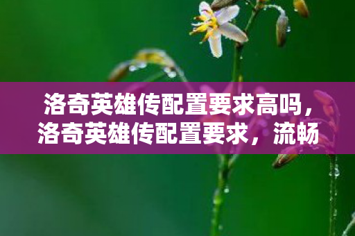 洛奇英雄传配置要求高吗，洛奇英雄传配置要求，流畅运行游戏的硬件指南