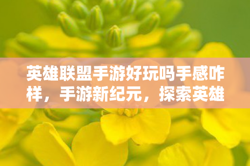 英雄联盟手游好玩吗手感咋样，手游新纪元，探索英雄联盟手游的无限乐趣