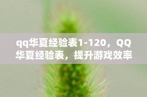qq华夏经验表1-120，QQ华夏经验表，提升游戏效率与角色实力的关键指南