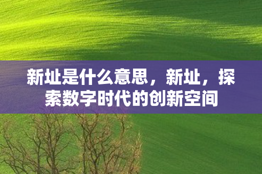 新址是什么意思，新址，探索数字时代的创新空间