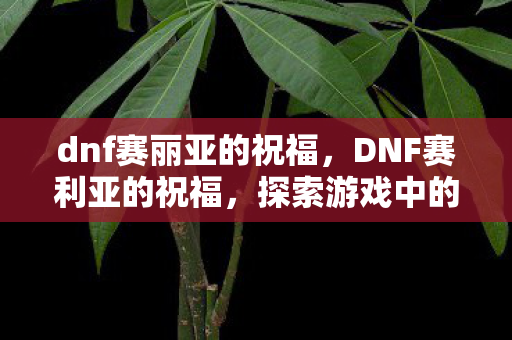 dnf赛丽亚的祝福,DNF赛利亚的祝福,探索游戏中的神秘宝藏 dnf赛丽亚的祝福,DNF赛利亚的祝福,探索游戏中的神秘宝藏