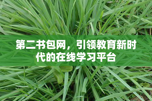第二书包网,引领教育新时代的在线学习平台 第二书包网,引领教育新时代的在线学习平台