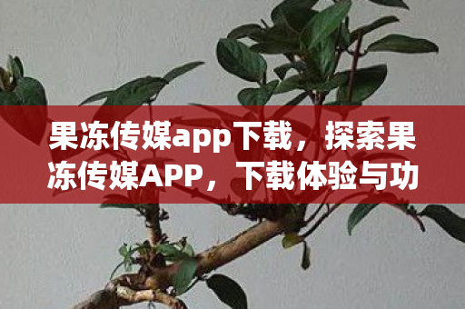 果冻传媒app下载，探索果冻传媒APP，下载体验与功能解析