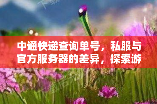 中通快递查询单号，私服与官方服务器的差异，探索游戏世界的不同维度